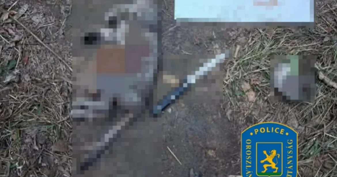 14 éves fiú nagykéssel ölt meg egy macskát, állítólag online csoporttól vette a példát