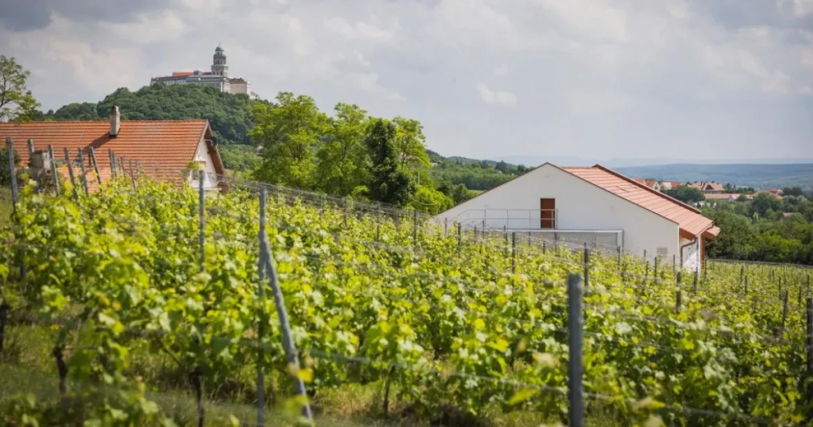 2026-ban kiderült, melyek az ország legszebb szőlőbirtokai