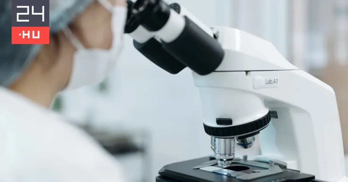 A mikrobiom: testünk rejtett ökoszisztémája és annak jelentősége
