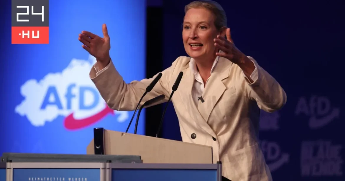 Az AfD vezetése Putyin megbízottjával ülne tárgyalóasztalhoz