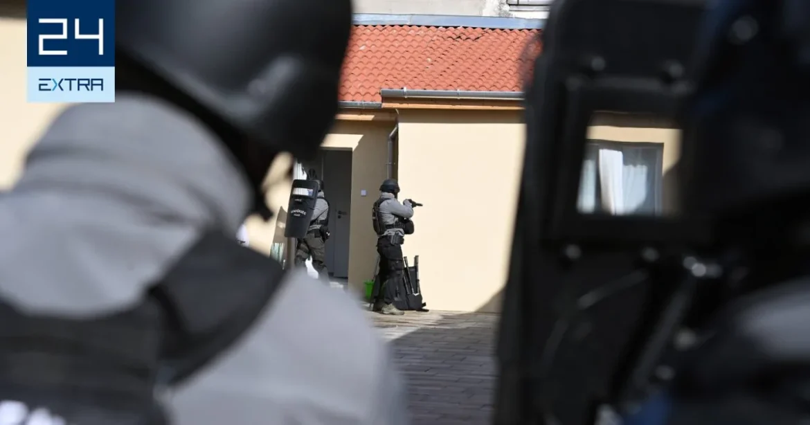 Baltával kergette élettársát egy férfi Abonyban, a rendőrök lábon lőtték