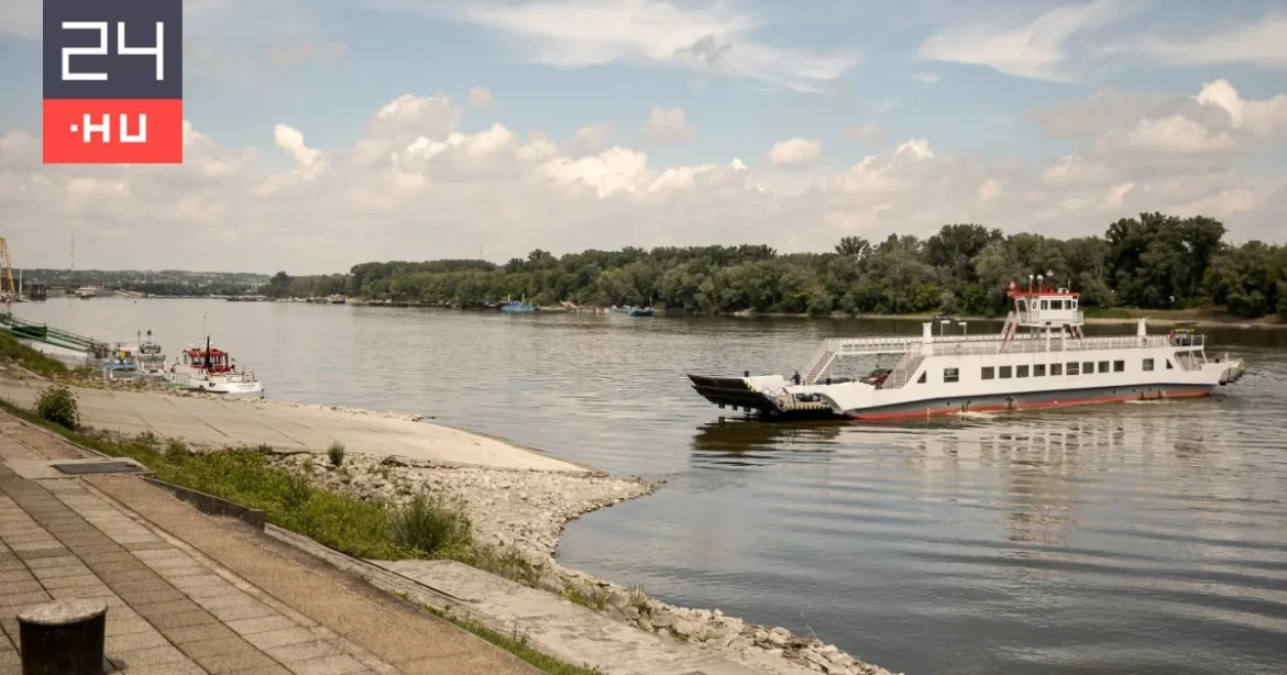 Baranyai vaddisznókban ütötte fel a fejét a sertéspestis