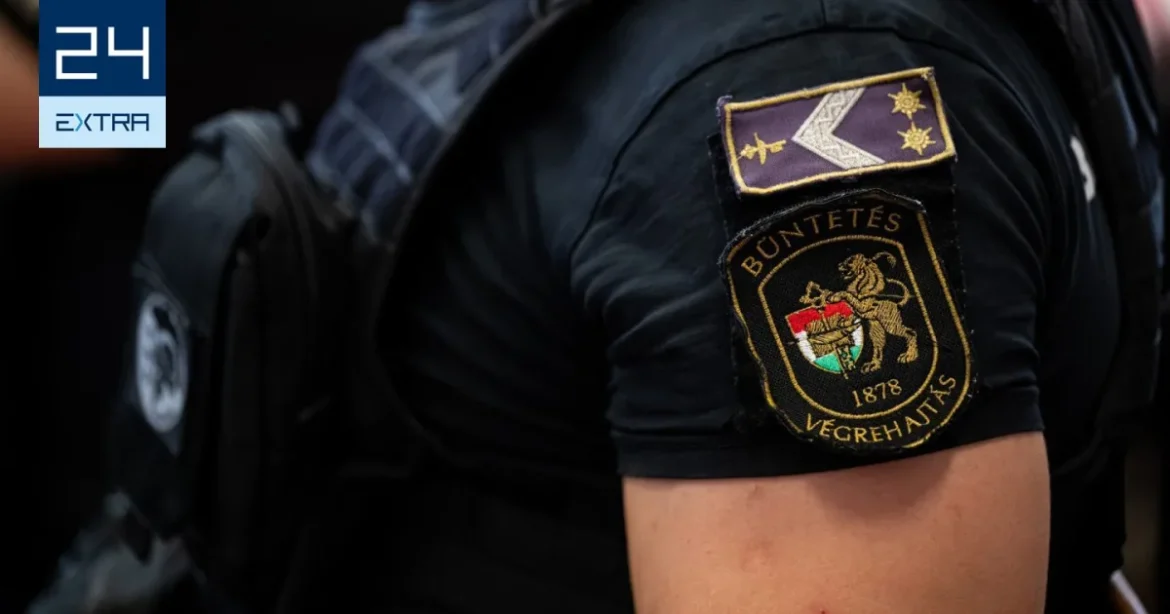 Csak az apósom kocsiját akartam összetörni a baltával