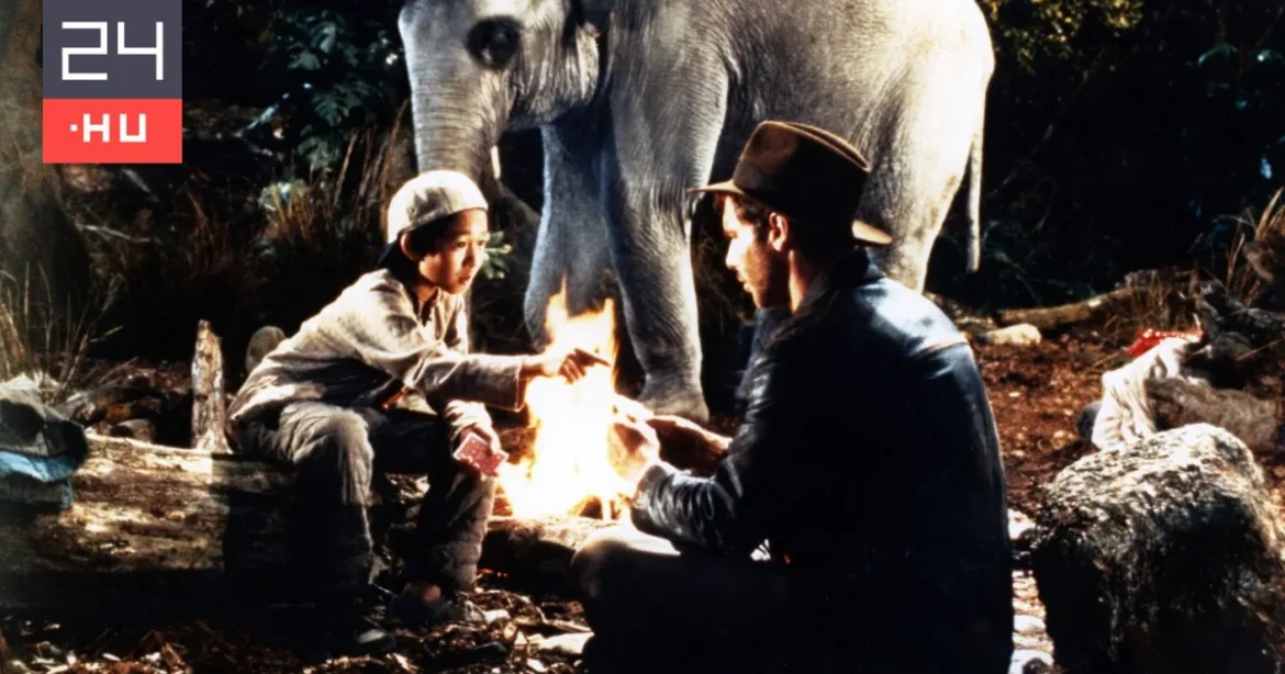 Indiana Jones gyereksztárja óriási összeget kapott a film bevételeiből