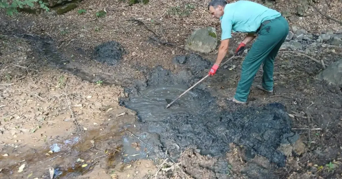 Medermélyítéssel óvják a rákokat a Cserhátban