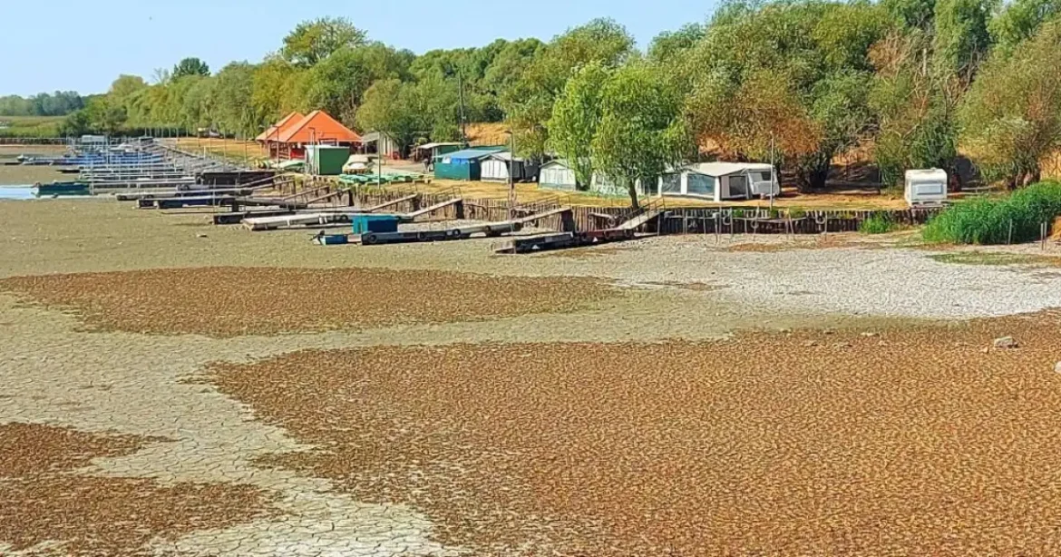Nyári aszály sújtotta Tisza-tó drámai látképe