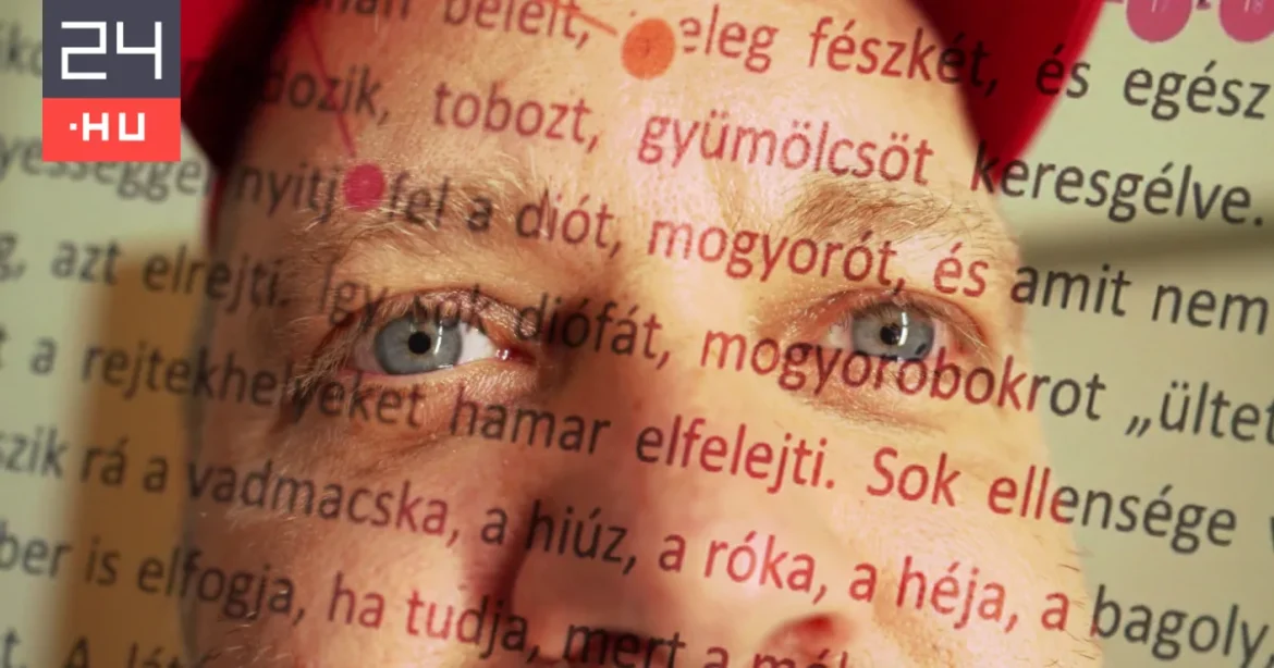 Olvasási nehézség? Van megoldás – Katz Dávid is kivizsgáltatta magát