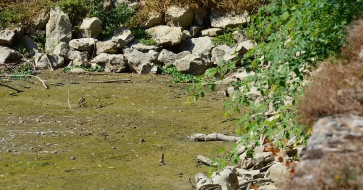 Teljesen kiszáradt a bakonyi arborétum tava