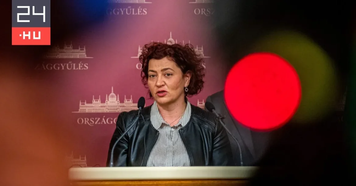 Vadai Ágnes Óbudán, Gréczy Zsolt Újbudán helyezkedett el a választás után