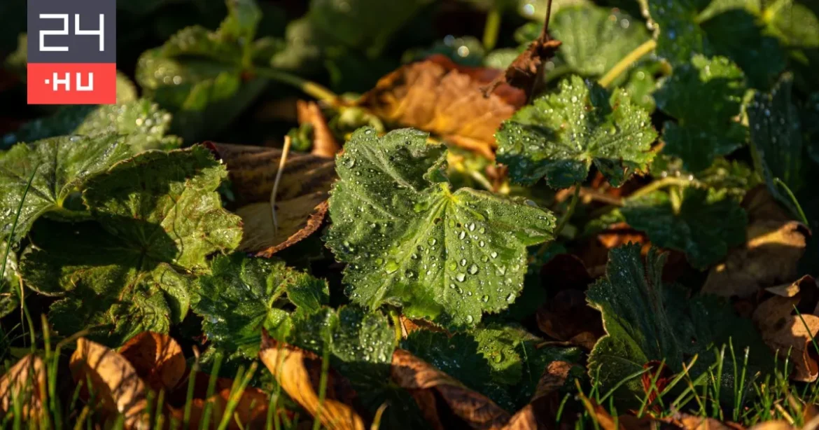 Tökéletes hétvégi idő vár a szabadtéri programokra